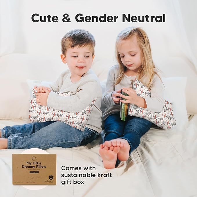 Mini Toddler Pillow with Pillowcase - 9x13 My Little Dreamy Travel Kids Pillow for Sleeping, Toddler Bed, Small, Tiny, Organic Cotton Pillowcase, Soft & Breathable, Kids 2-4 Years Old (Aircraft)