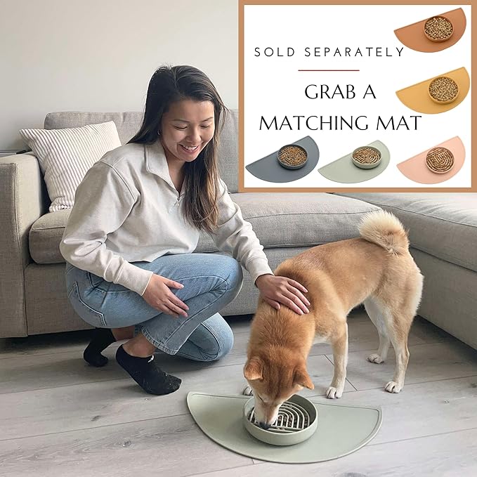 Should We Go? Slow Feeder for Dogs & Cats, The Slowdown Bowl Silicone Slow Eating Mealtime Solution with Modern Lick Mat Design, Reduces Gulping, Fits 1 Cup, 6” Across x 1.25” Tall, Small-Terracotta