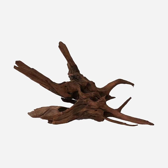 Aquarium Accessories