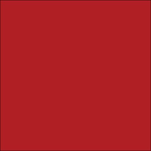 Adhesive Backed Vinyl Sheets Oracal 651 by Orafol