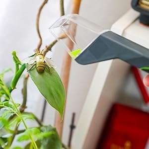 Humane Bug Catcher, Live Insect Catching Tool - Image 7