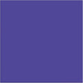 Siser EasyWeed Stretch Matte HTV 11.8" x 1FT Sheet-Iron On Heat Transfer Vinyl - by SISER