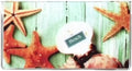 WINGS Craft & Fundraising Supply Checkbook Cover by WINGS+Craft+%26+Fundraising+Supply
