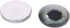 20Pcs Glass for Doll Eyes Animal Crafts Eyeballs for Dinosaur Eye Accessorie - Image 4