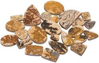 Natural Loose Gemstone 5 Piece Cabochons Lot Jewelry Making Loose Gemstone by Crysmona