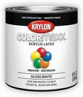 Krylon ColorMaxx Gloss Interior/Exterior Acrylic Latex Paint, 1/2 Pt. by Krylon%C2%AE