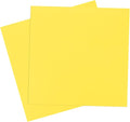 MECCANIXITY Foam Sheets Crafts 10x10 Inch 10mm EVA Craft Foam Paper Foam Sheets by MECCANIXITY