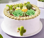 Cactus Silicone Molds Cacti Hawaiian Fondant Mold - Image 4