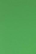 Allgala 20-Value-Pack EVA Foam Paper 8x12 Inch Sheets-Green-CF85305 by Allgala