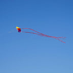 Besra Colorful Parafoil Kite - Image 6
