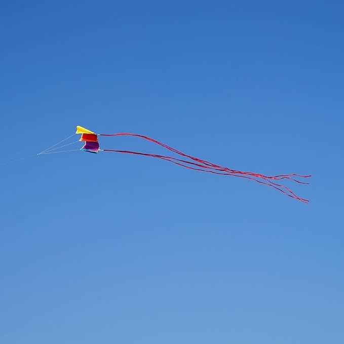 Besra Colorful Parafoil Kite - Image 6