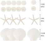 JQAQJU 20PCS Sea Shells for Crafting 3-4", Mini Sand Dollars Starfish Decor for - Image 2