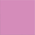 Siser EasyWeed Stretch Matte HTV 11.8" x 75FT Roll - by SISER