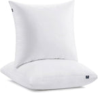 ACCURATEX Euro Pillows Set of 2 by ACCURATEX