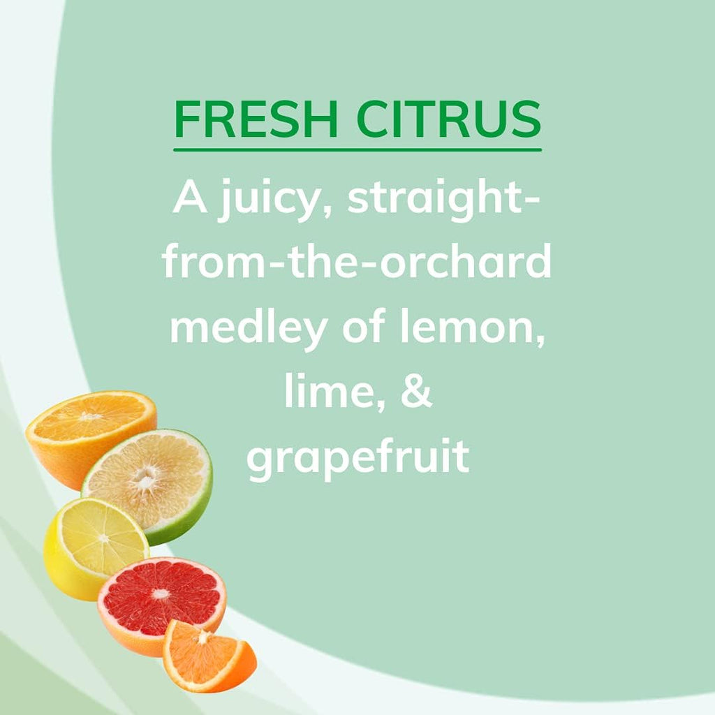 Citrus Magic Odor Absorbing Solid Air Freshener Fresh Citrus, 8-Ounce, Pack of 6, 6 Count