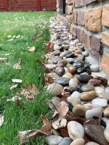 FANTIAN 20 lbs River Rocks for Outdoor Landscaping, 2-3 inch Large Pebbles for - Image 8