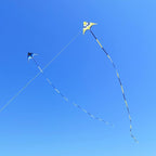 Large Single Line Beach Kite for Adults - Image 5