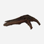 LYPHARD AQUARIUMS Natural Driftwood by LYPHARDAQUARIUMS