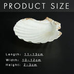 SEAJIAYI 6PCS Scallop Shells for Serving Food, Baking Shells Large Natural - Image 4