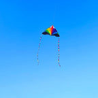 Large Single Line Beach Kite for Adults - Image 6