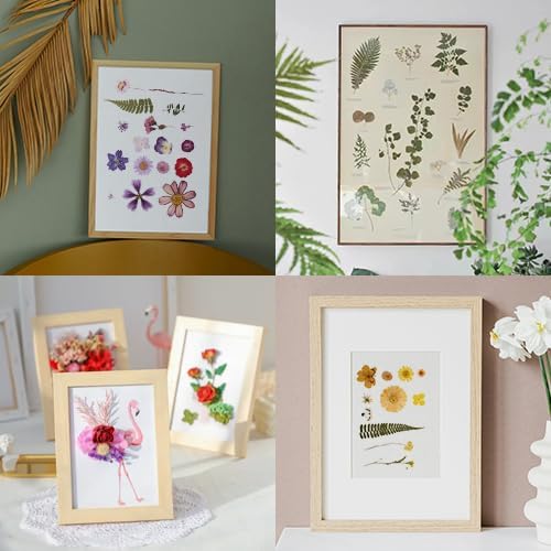 100 PCS Yellow Pressed Dried Flowers and Leaves - Image 5