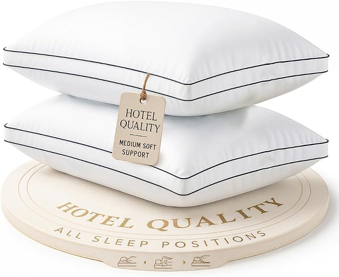 LANE LINEN Bed Pillows Queen Size Set of 2 by LaneLinen