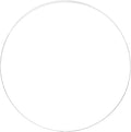 BENECREAT 12 Inch Clear Acrylic Sheet Round Circle Dis Acrylic Sheet by BENECREAT