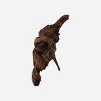 LYPHARD AQUARIUMS Natural Driftwood - Image 3