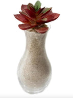5 Pounds Natural Decorative Real Sand - Image 5