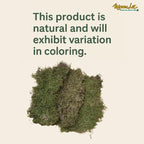 Mosser Lee ML0480 Natural Green Sheet Moss – 520 sq. in. – Organic Decorative - Image 10