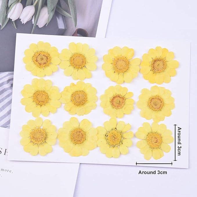60Pcs White Dried Daisy Pressed Flowers - Image 2