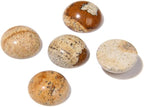 20pcs 6mm Natural Stone No Hole Brown Picture Semicircle Smooth Cabochons Beads by 2TTFishoo