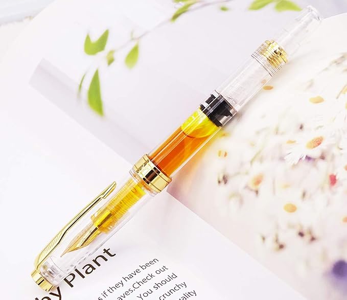 Lanxivi Yongsheng 3011 Demonstrator Clear Classical Fountain Pen Fine Nib Arrow - Image 8