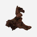 LYPHARD AQUARIUMS Natural Driftwood by LYPHARDAQUARIUMS
