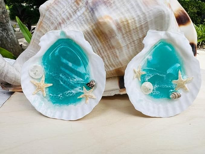 SEAJIAYI 30 PCS Scallop Shells 2-3 Inch Natural White Sea Shells from Sea Beach - Image 5