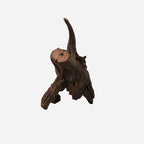 LYPHARD AQUARIUMS Natural Driftwood - Image 4