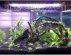 PINVNBY Large Driftwood for Aquarium Fish Tank Decorations Natural Assorted - Image 6