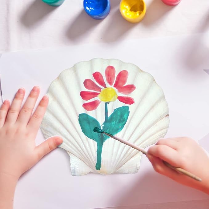 SEAJIAYI 20 pcs 2-3 inch Natural Scallop Shells White Sea Shells from Sea Beach - Image 8
