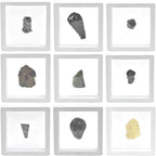 Starborn Meteorite and Tektite Celestial Collector's Set - Image 3