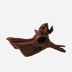 LYPHARD AQUARIUMS Natural Driftwood - Image 4