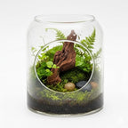 EmoursTM Aquarium Sinkable Driftwood Fish Tank Decoration - Image 2