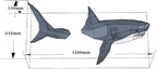 Shark on Wall Paper Sculpture, Right side, Pre-cut DIY Papercraft Kit, Handmade - Image 8