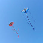 Dragon Kite for Kids & Adults - Image 5