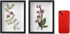 Hacaroa Set of 4 Shadow Box Picture Frame, 8 x 6 Inches Wood Frame Memory - Image 3