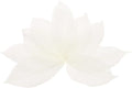 uxcell 100 Pcs White Skeleton Leaves by uxcell