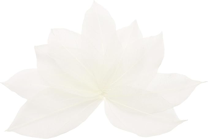 uxcell 100 Pcs White Skeleton Leaves by uxcell