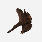 LYPHARD AQUARIUMS Natural Driftwood - Image 4