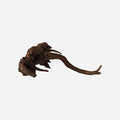 LYPHARD AQUARIUMS Natural Driftwood by LYPHARDAQUARIUMS