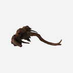 LYPHARD AQUARIUMS Natural Driftwood by LYPHARDAQUARIUMS