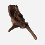LYPHARD AQUARIUMS Natural Driftwood - Image 4